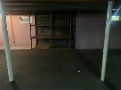 After: Basement Cleanup