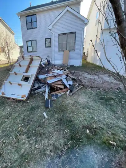 Before: Backyard Cleanup