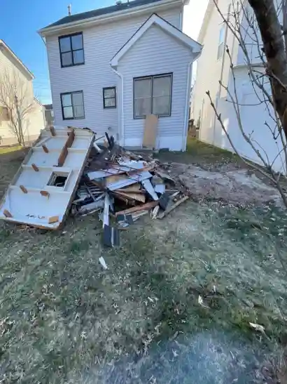 Before: Backyard Cleanup